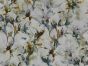 Painters Flowers Viscose Linen Print, White