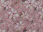 Peony Vines Cotton Lawn Print, Pink