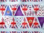 Platinum Jubilee Cotton Bunting Panel, Baby Blue