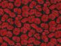 Poppy Flutter Polycotton Print, Navy