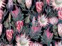 Protea Flowers Printed Velvet, Black