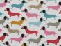 Rainbow Dachshund Polycotton Print