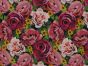 Rose Burst Cotton Jersey Print, Pink