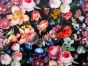 Rose Garden Printed Velvet, Ebony