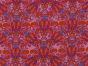 Royal Bloom Cotton Print, Pink