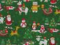 Santa Home Polycotton Print, Green