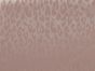 Satin Stretch Leopard Jacquard, Blush