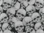 Skull Collage Cotton Poplin Print