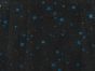Star Light Foil Denim Print, Black