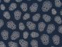 Sugar Skulls Foil Print Cotton Jersey, Blue and Silver