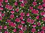 Tulips and Carnations Printed Cotton Corduroy, Pink