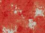Twilight Daisies Tie Dye Embroidered Anglaise Double Gauze, Coral
