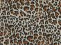 Wild Cat Polycotton Print