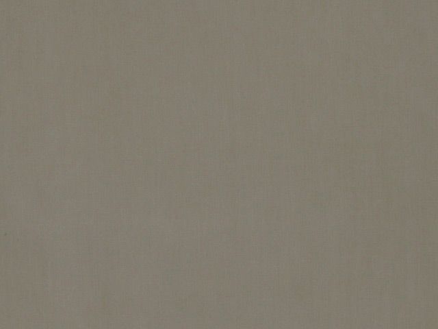 Plain Cotton - Stone
