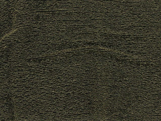 Nylon / Metallic Stripe - Gold